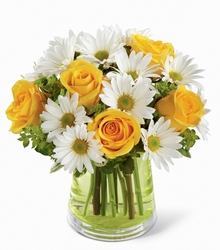 Sunshine in a Vase from Martinsville Florist, flower shop in Martinsville, NJ